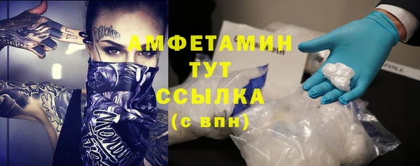 дмт Каменка