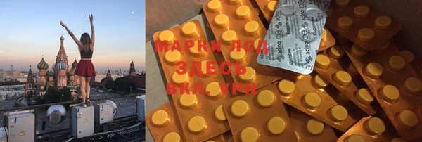 дмт Каменка