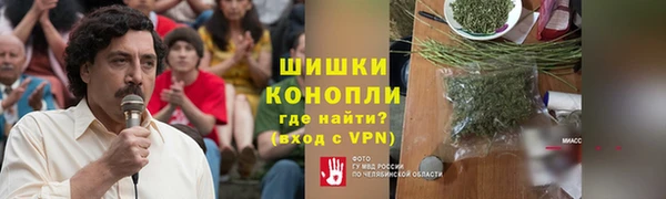 дмт Каменка