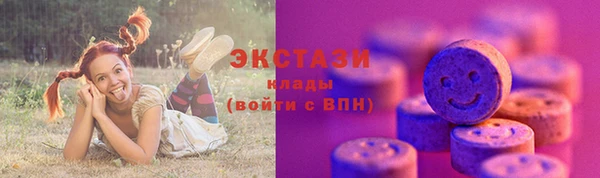 дмт Каменка