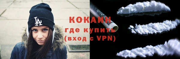 дмт Каменка