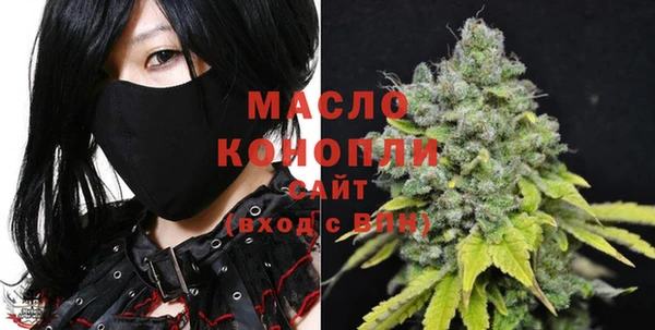 дмт Каменка